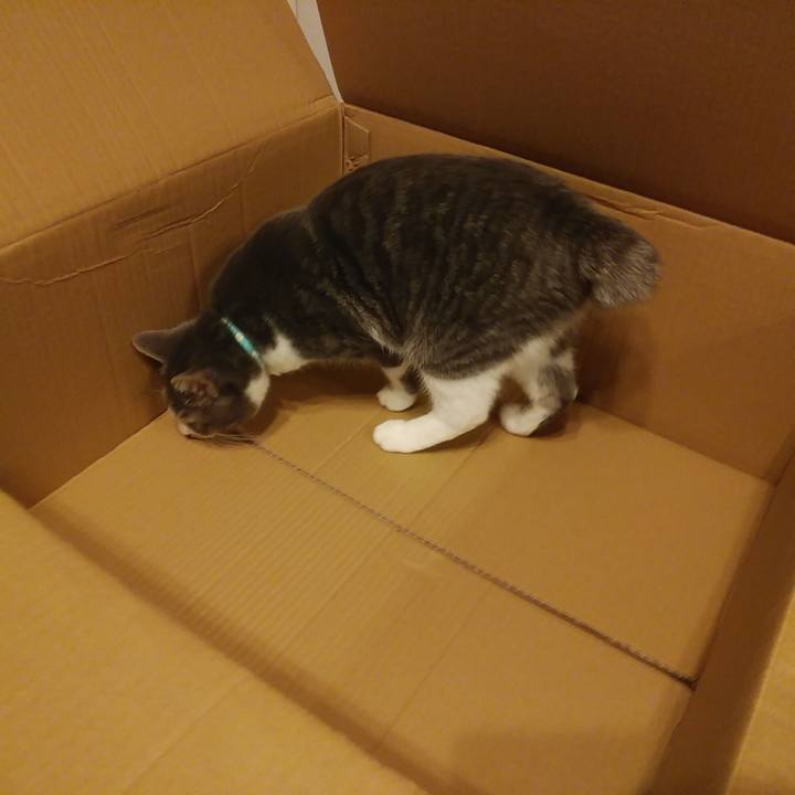 E4b018b9 1244 4599 b058 6467d64d3873 1580111112657