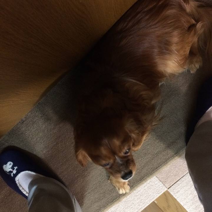 E4b01f5f 41c4 4952 a296 1d3d065e40a6 1523659498793