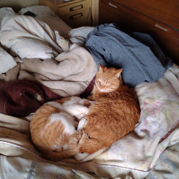 E4b022fb 7981 4fe1 8dee 75eb447ad763 1739859302317