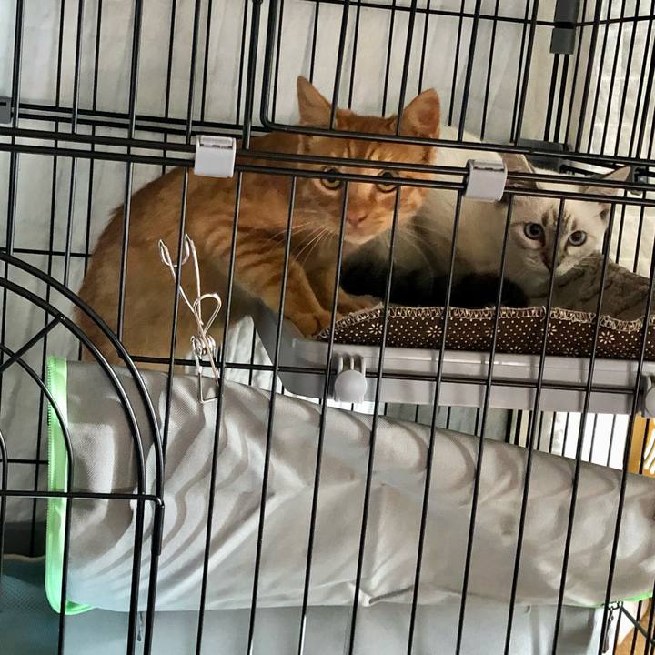 E4b028fc ae87 47b5 b7e6 a945a847f3a7 1729114506825