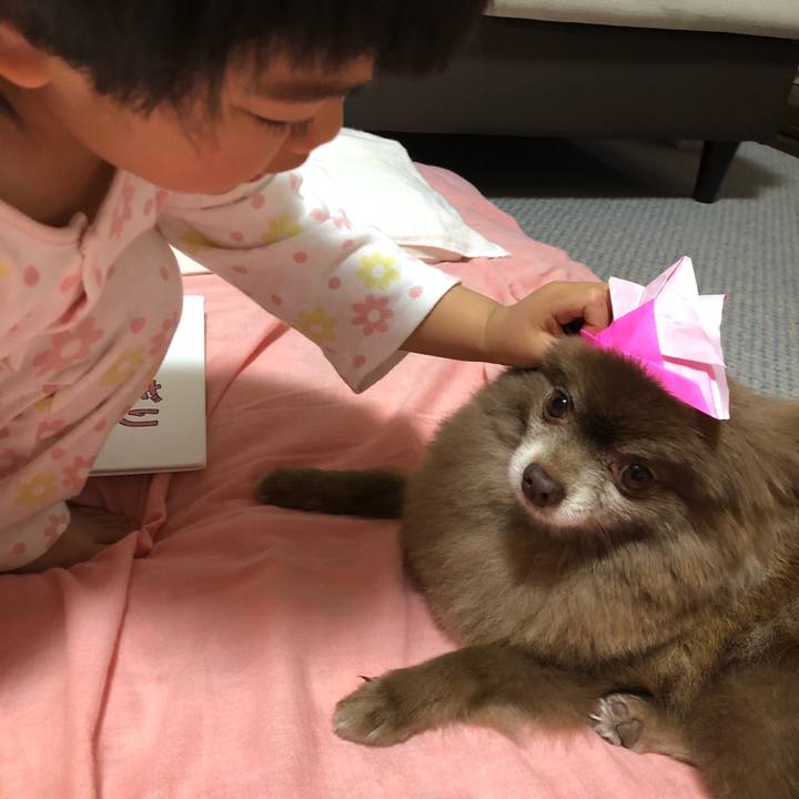 E4b02d12 1607 40d6 9a9e 576fbfbcb451 1556688898032