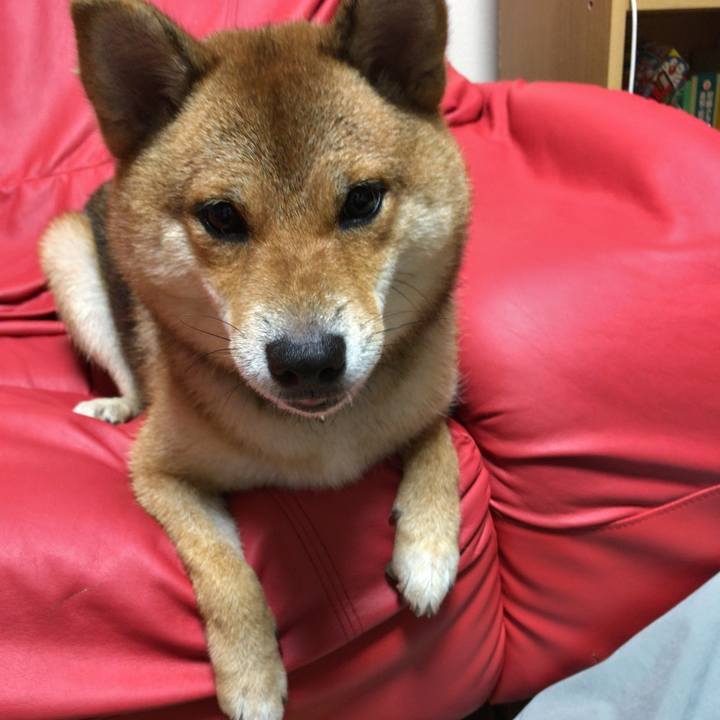 E4b045b4 c56b 4632 a4d2 a8348c1715bd 1533296279267