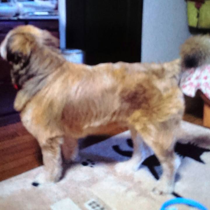 E4b0886a e5e6 432b b267 4ba3fcd48603 1528721885606