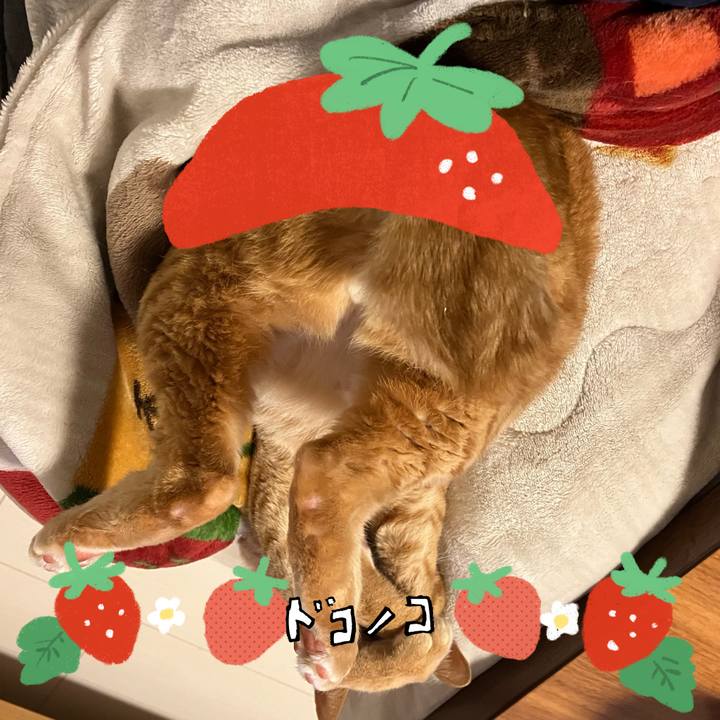 E4b088f2 12db 421b b8d5 e666154c5e57 1775209662030