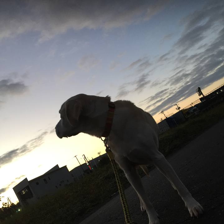 E4b093b6 e2f3 4c39 85d4 1ea969cf0d67 1543009239429