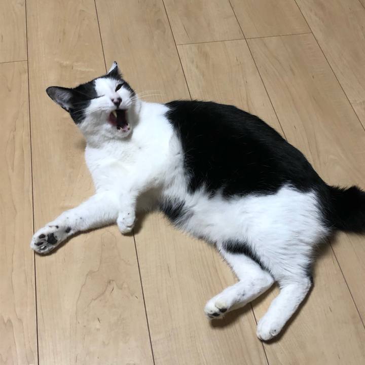 E4b094a1 3277 43c0 97bd e650ed9c51f8 1603968461905