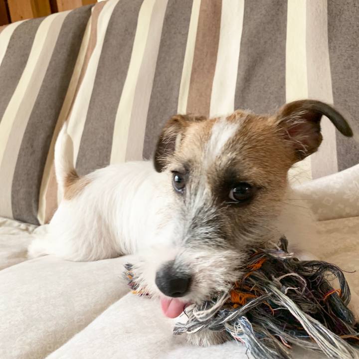 E4b0a3eb 5719 47c4 a0d8 a5e6e43ec921 1565078305694