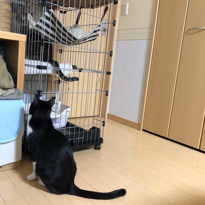 E4b0aecd 92d2 4bf6 89c6 6c4da9c1b722 1559305913920