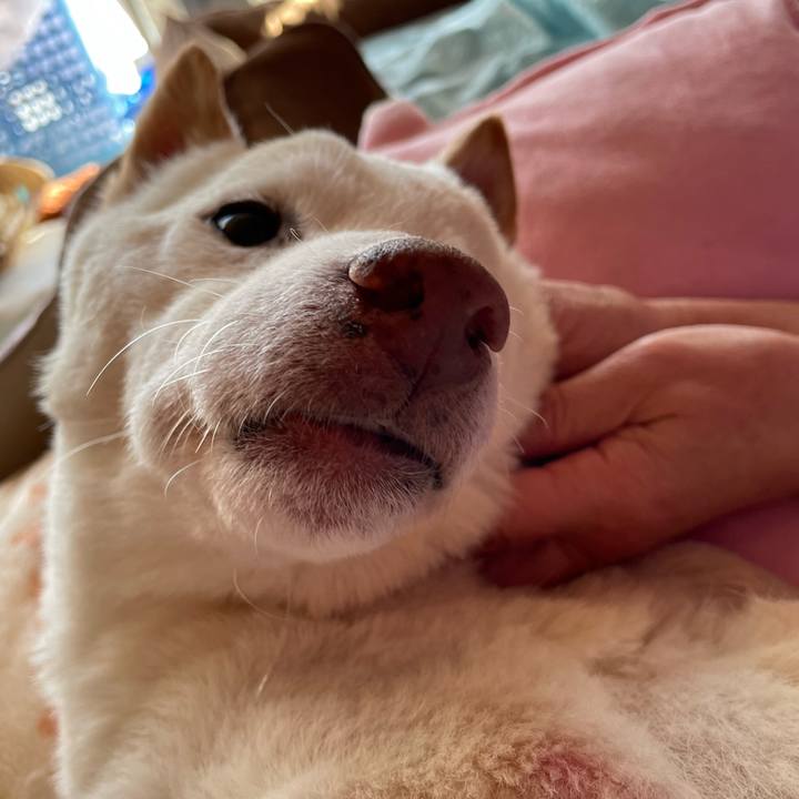 E4b0d1dc 3a71 4512 a3c6 e905b43eefe1 1670672224986