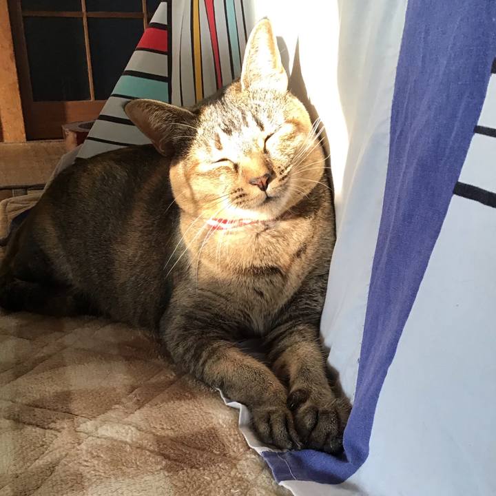 E4b1074d c4c9 4bf1 a19b 53a870a79ac7 1605594826978