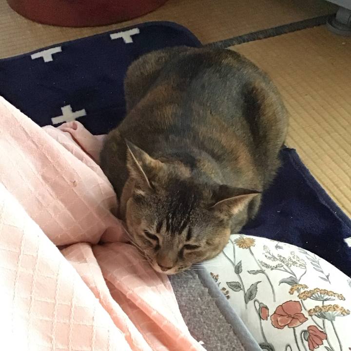 E4b15171 ac92 4136 8069 4b81d7034640 1704794163532