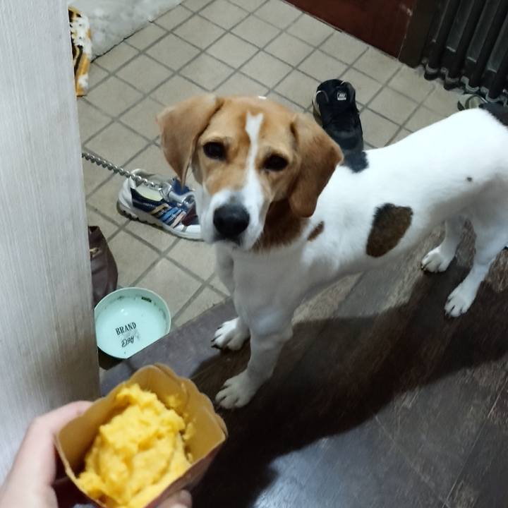 E4b15332 c68e 4e65 8ad4 bbdd61153609 1577438977990