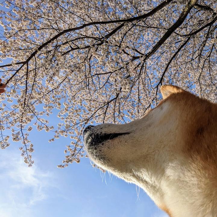 E4b160cb 174b 43c4 af6e a94b0133e7d8 1712919968769