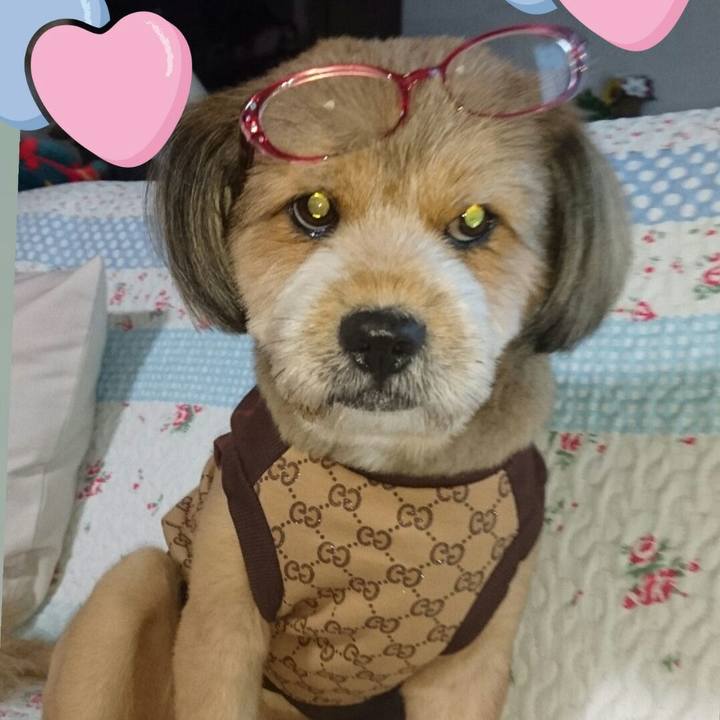 E4b1a757 65c4 4f30 b6a1 c36ac1703006 1535464050071