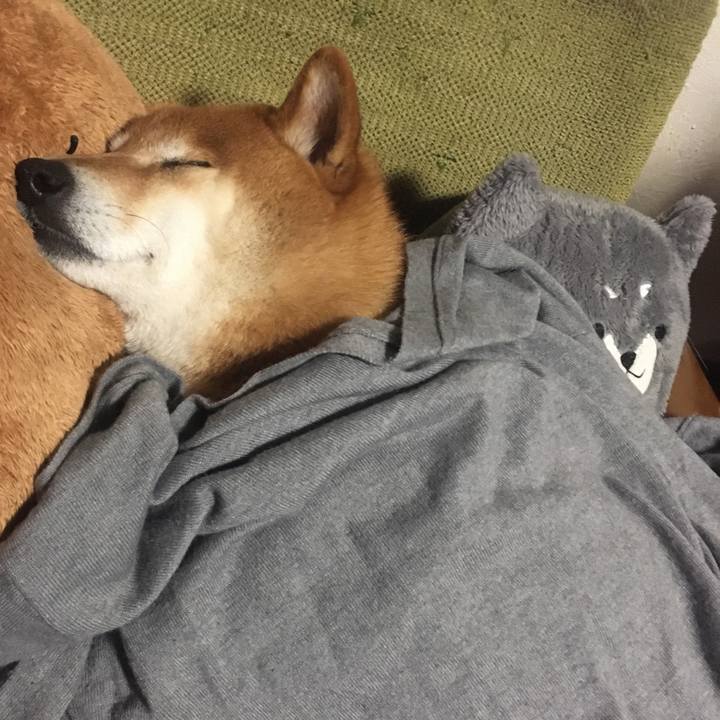 E4b1b6d8 c40a 480b 96ff ee8e3ea51ba4 1588772928658