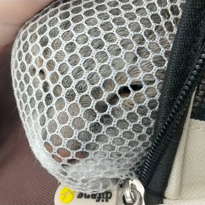 E4b1f2e6 6114 44ca aa33 f740515d595d 1630051463015