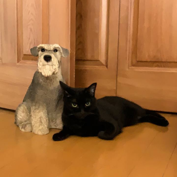 E4b21b18 1553 4b50 bf37 e23cea6aa6c7 1657051495023