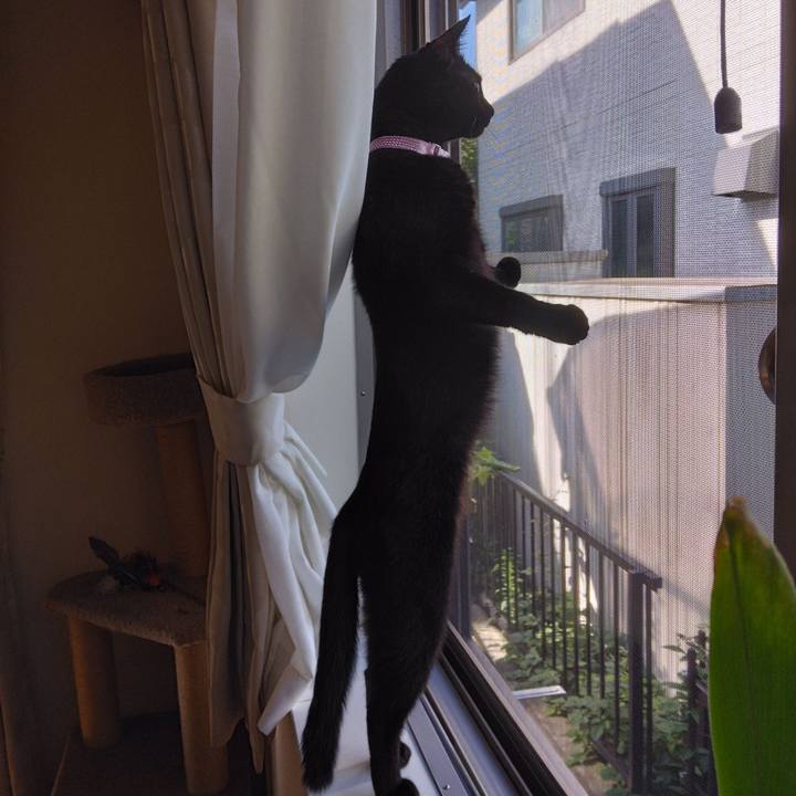 E4b224f7 608f 4bf9 90a8 f6debb4ba616 1773267469988