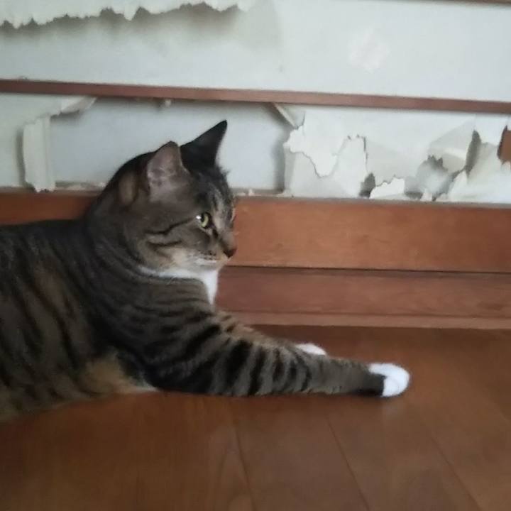 E4b248e4 60ac 45f4 b663 3e06cae1f27e 1626164214032