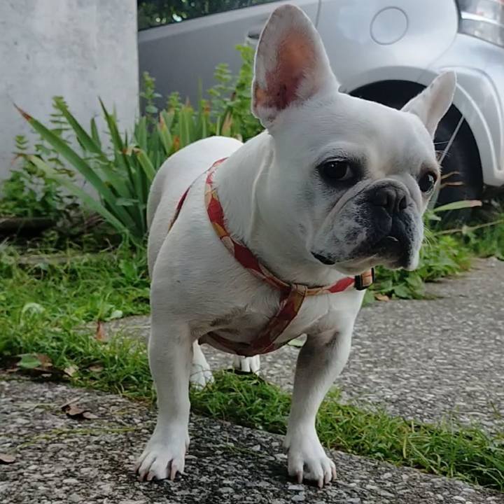 E4b26272 1954 45df 8193 e37a66e02fe3 1664102830991