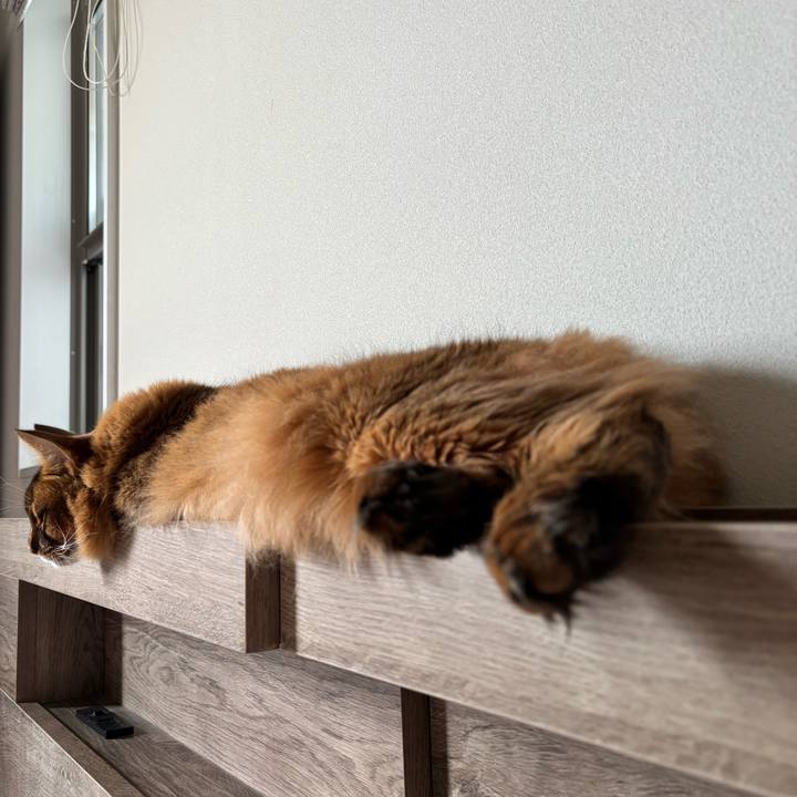 E4b28399 c850 4780 9148 1e4d261f5c21 1757203718580