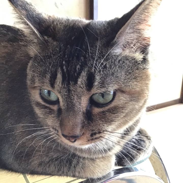 E4b292b7 9f03 4d96 aa0b 4e4e11ed6113 1630468340238