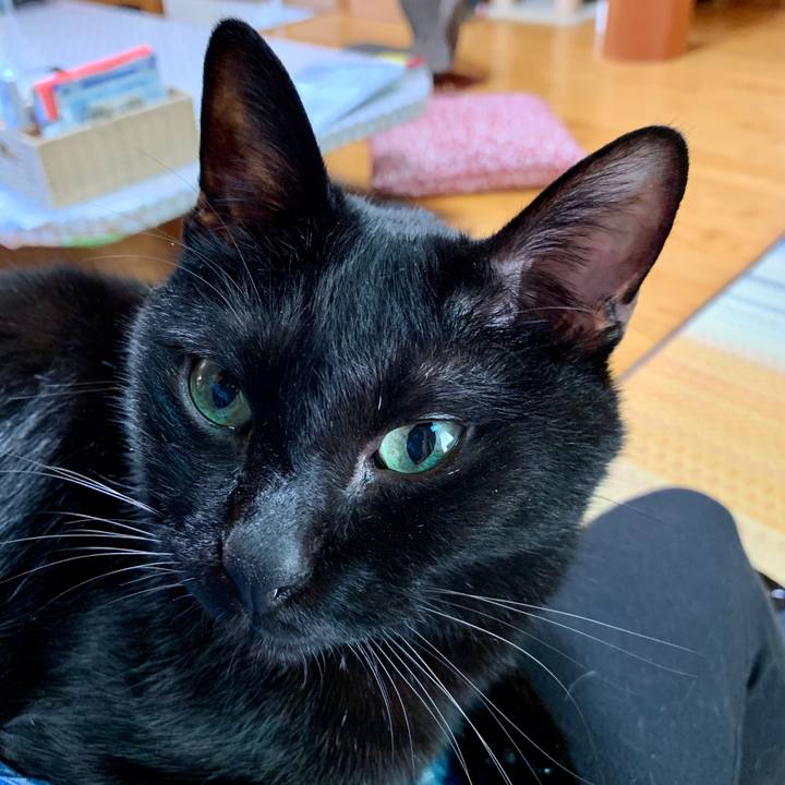 E4b305cd 0a31 4b28 aba0 3a2d98baaf68 1600669322509