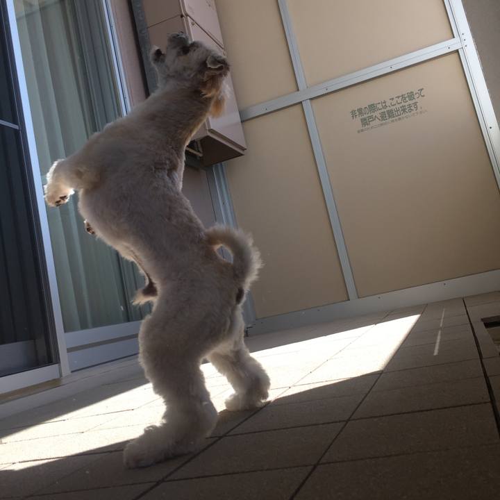 E4b33d15 6f3a 4691 bf97 81daff0d23f4 1534207178980