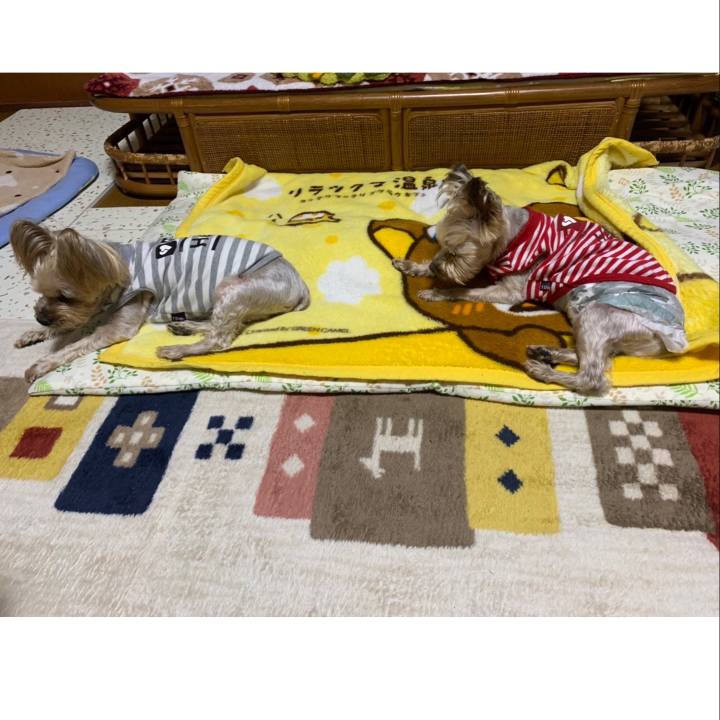 E4b34db4 a536 40e2 b58f 1add65b92eec 1676974887577