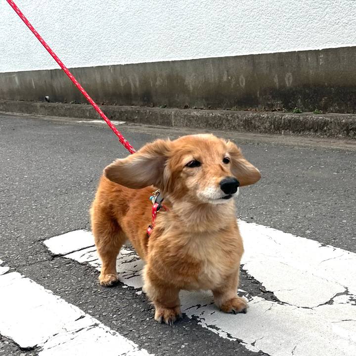 E4b36b79 57ed 4f11 9f0f 7d71157b1f7f 1646659554863