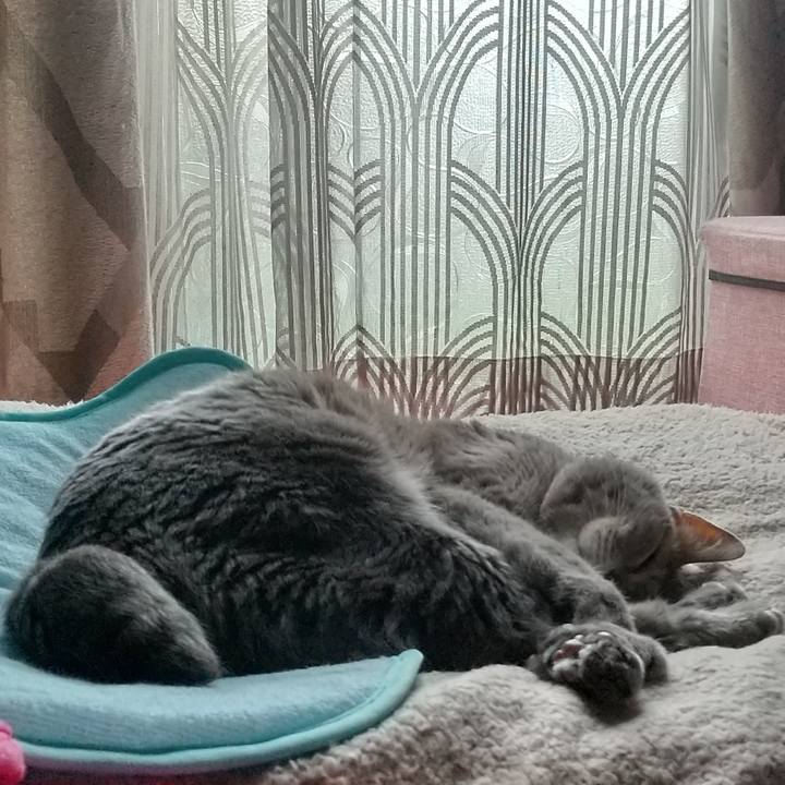 E4b3919f ad22 4a44 8ad8 b7f5461410f0 1686459773810