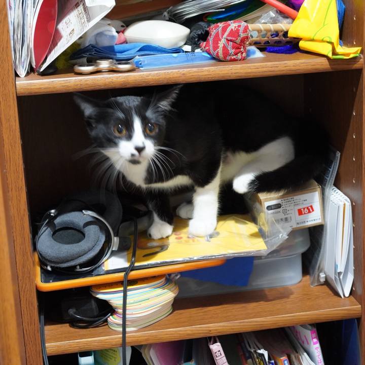 E4b3a78a a689 48cb 9e70 5b116687042c 1579916700370