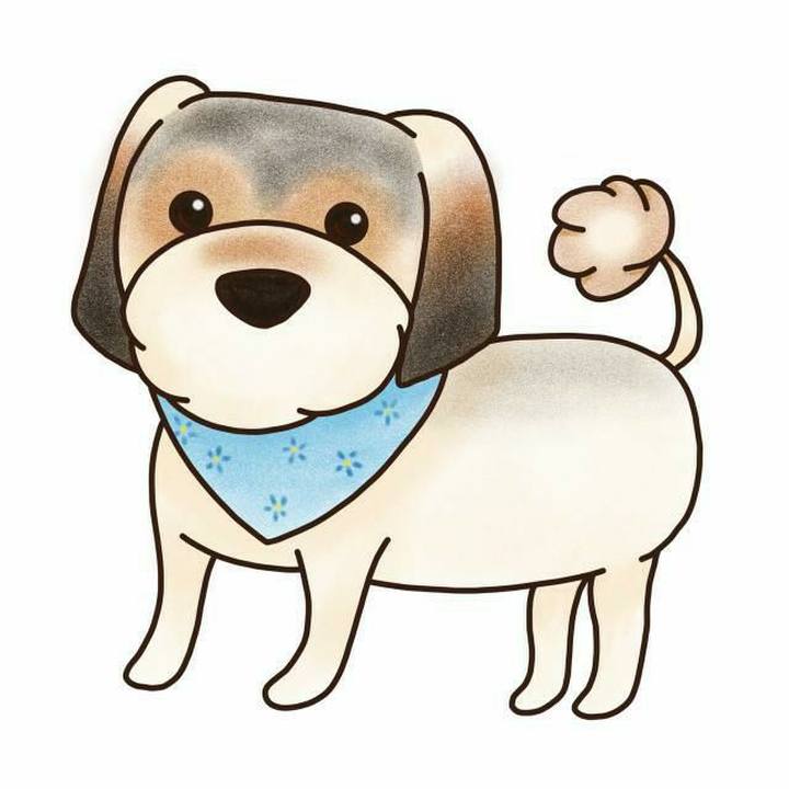 E4b3b080 17c1 44d1 8327 a6ebfbc78e89 1561303103532