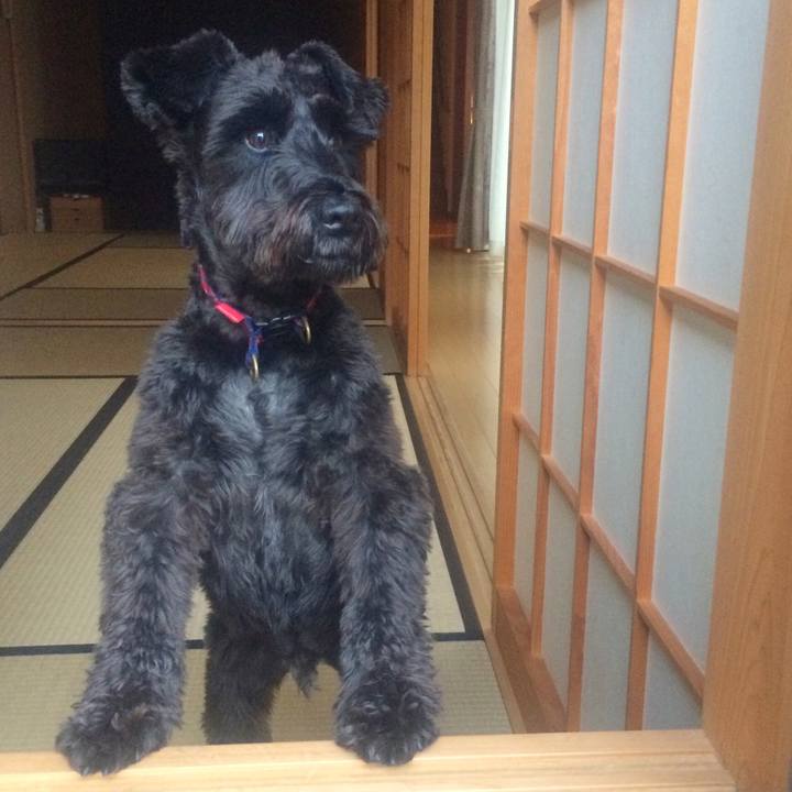 E4b3cb22 2725 4934 a8a8 55df34e33476 1512944944023