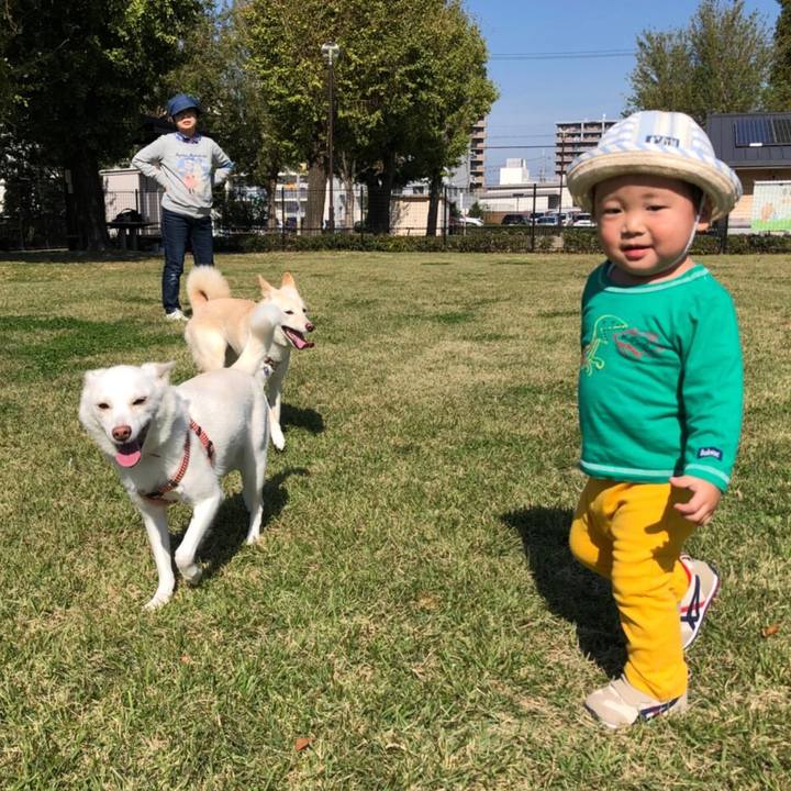 E4b3d152 5259 491b a36f 268621c3e98e 1540543932584