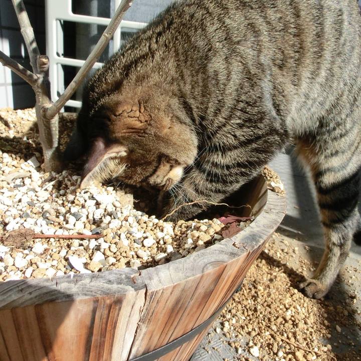 E4b3d579 1cee 4df2 9217 3206ba50b4c4 1764386103136