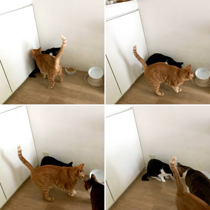 E4b3f933 90e2 454b 8b51 48877b0af62c 1535603628481