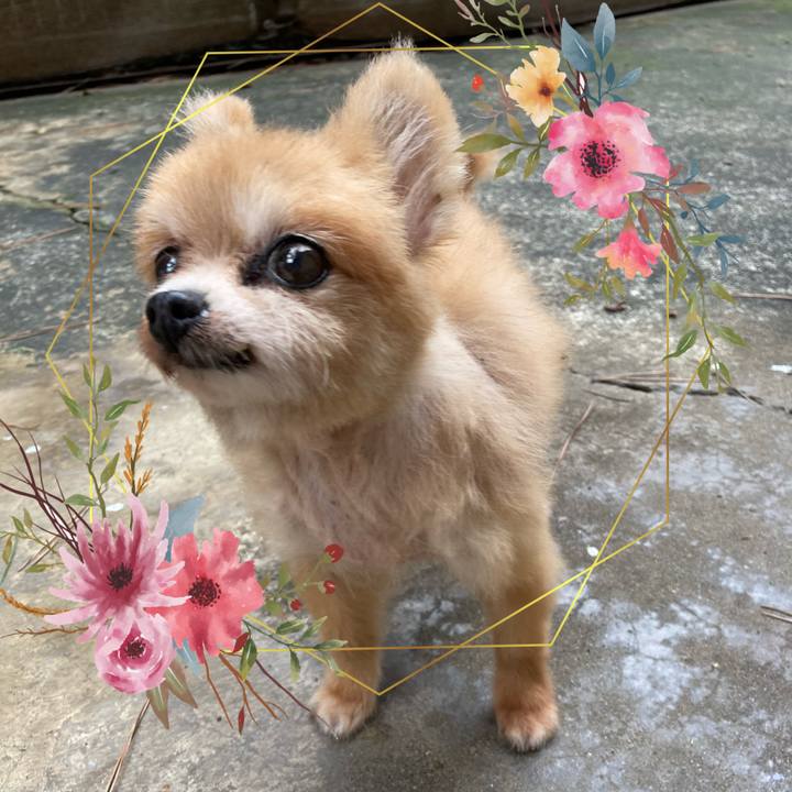 E4b42466 7330 4e25 8295 5cd025c80e66 1668413827384