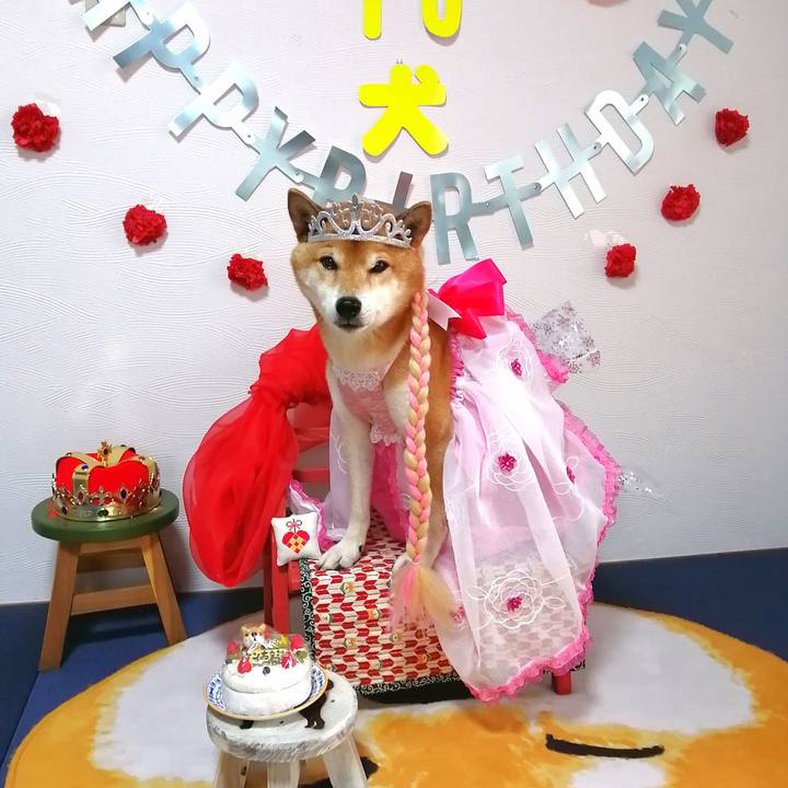 E4b4533f 3509 47d3 8b4b 6cea6e16e991 1670553068546