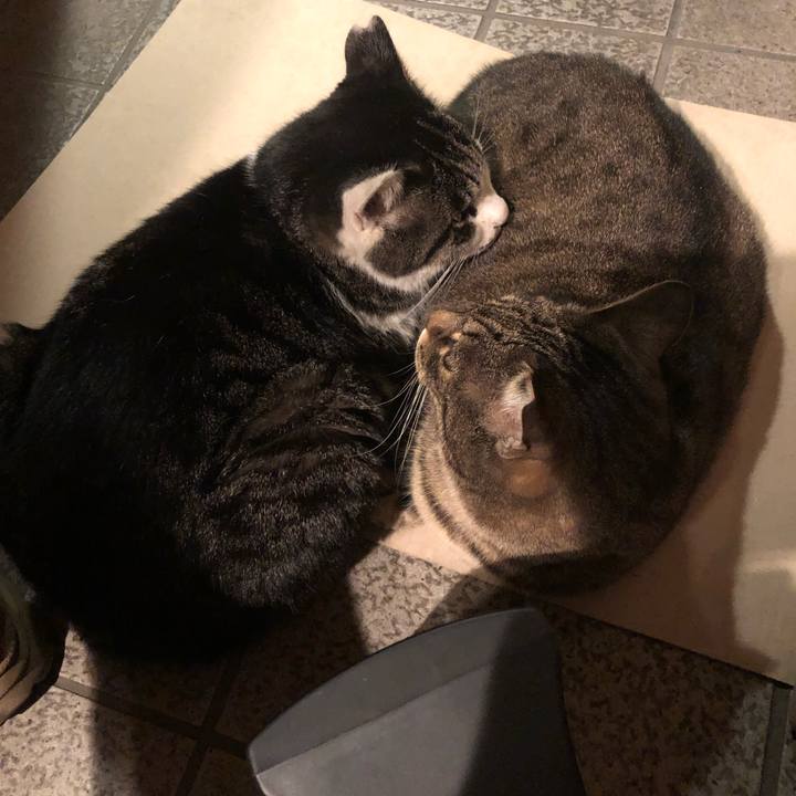 E4b455a8 e60b 4da7 ab06 bcd6748ea621 1606727990316