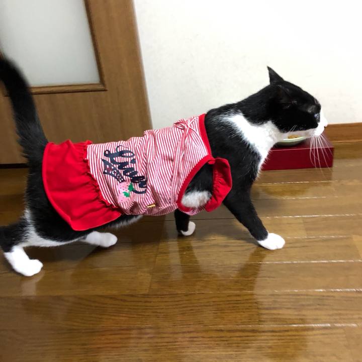 E4b461e9 7a9b 41eb 87fc 20d534dc701e 1536797012685