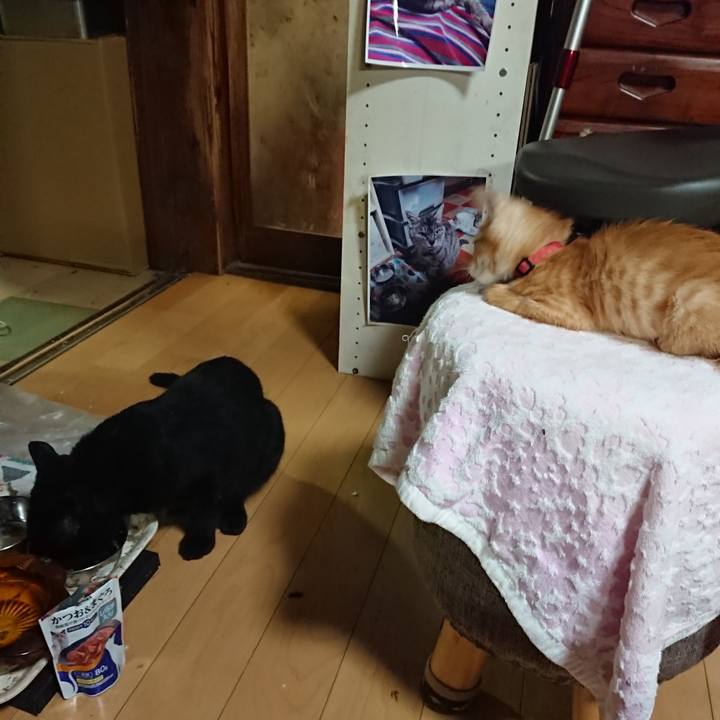 E4b46ec3 0412 4d4a 889d 5f3078ab1539 1628249562755