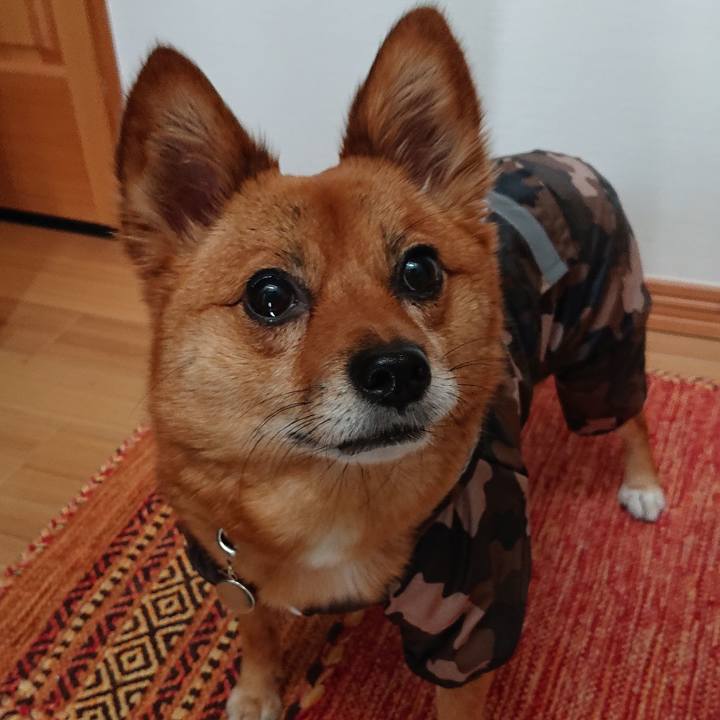 E4b47fc3 37a1 469e bef6 a1d2bb428acb 1560401625807