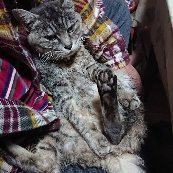 E4b49718 1564 458d b227 f4ec0381b463 1576236302229