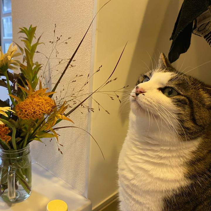 E4b51690 8729 4a01 b13b a110c6e503e5 1600762127901