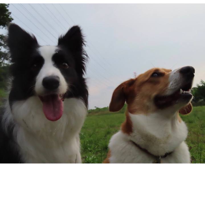 E4b553e5 446e 41b4 a896 ab46385b46f0 1625013238034