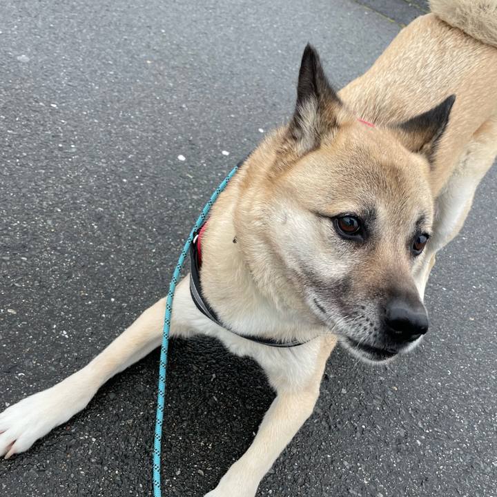 E4b599dd a8ad 4b54 b00d 92457f05e602 1712665062024