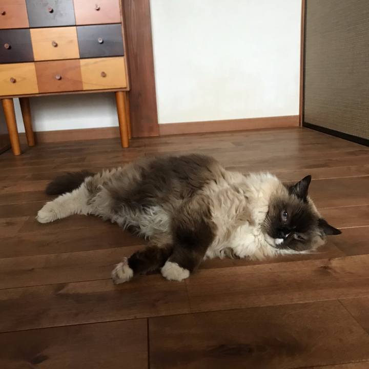 E4b5a773 ad8c 4dc1 81a2 af9ffcc96597 1585349183040