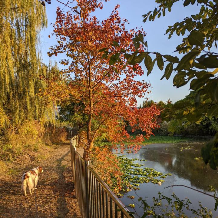 E4b5c9c9 5d13 498f 9a34 407a66dff512 1668241413128