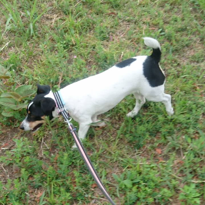 E4b6198a 4b51 4978 a2f4 68568058df9b 1559619778213